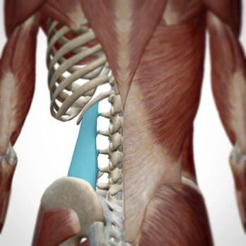 Pain can occur in different areas of the back