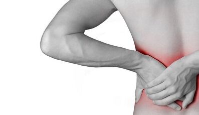Causes of back pain in the lower back of the back